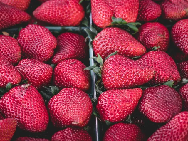 Fresh strawberries in rich pink and red tones